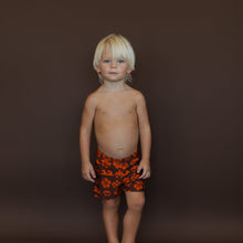 Load image into Gallery viewer, Toki | Boys Soft Swim Short | Nami

